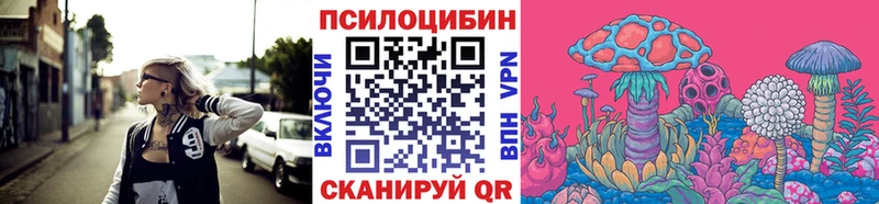 цена   Бердск  Галлюциногенные грибы MAGIC MUSHROOMS 
