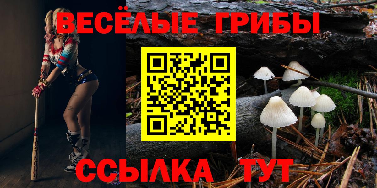 Галлюциногенные грибы MAGIC MUSHROOMS Бердск